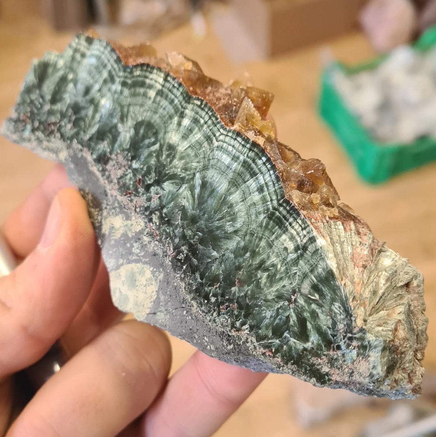 Plaques de séraphinites Cristal Roche