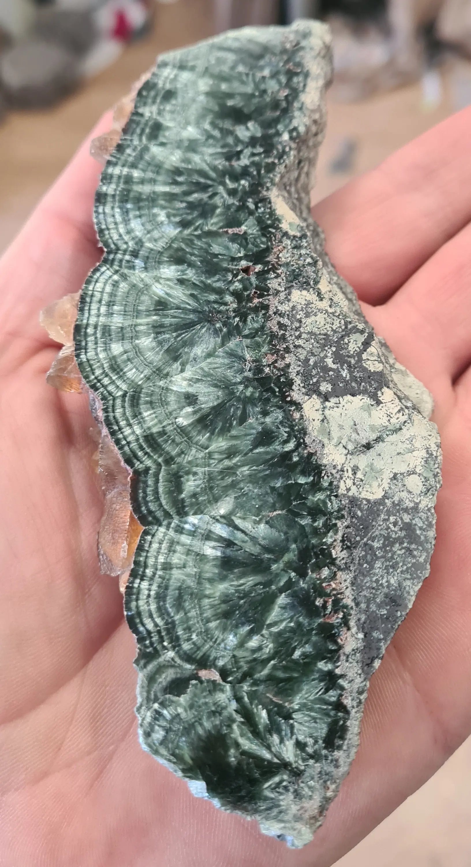 Plaques de séraphinites Cristal Roche