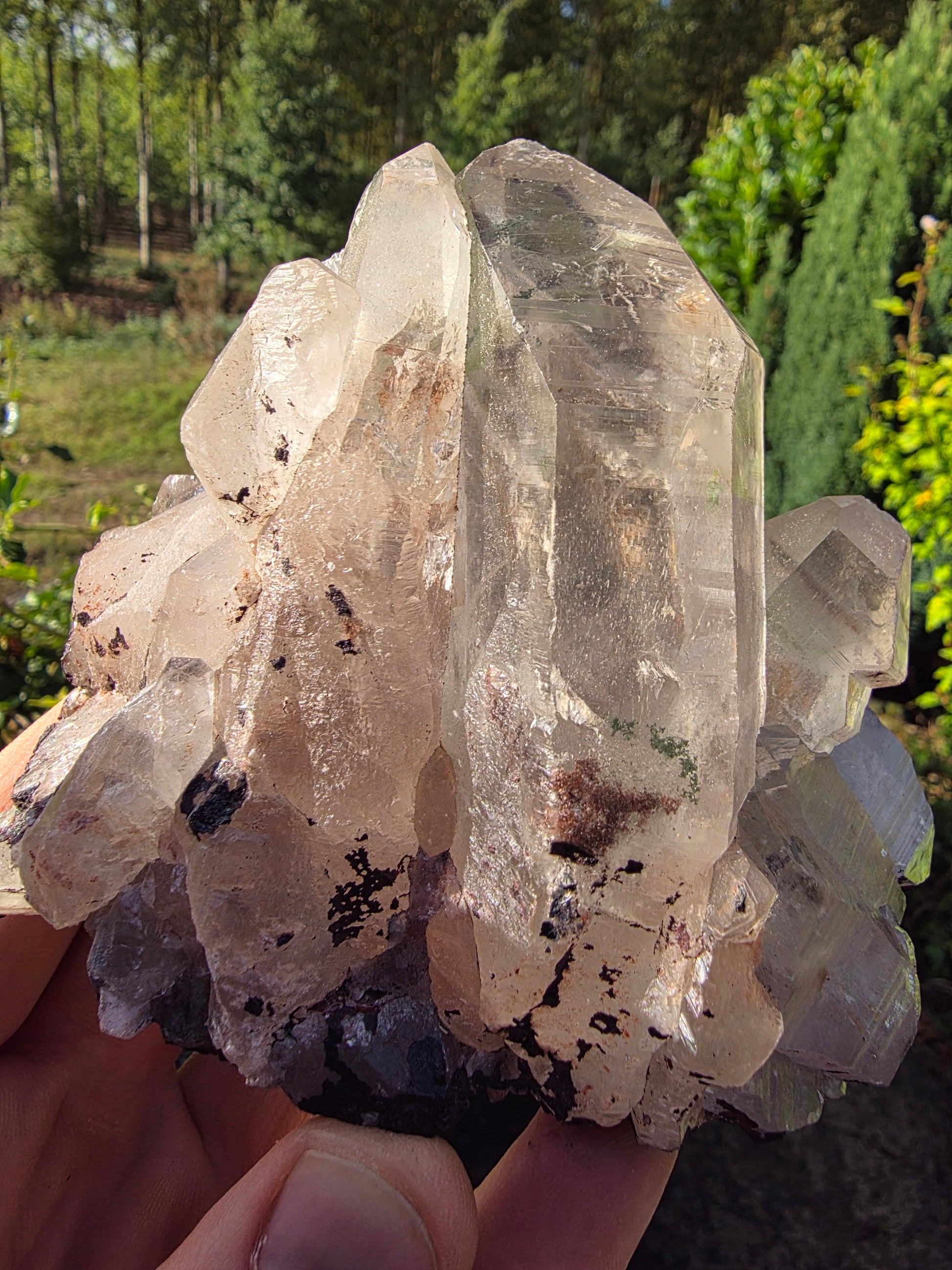 Cristaux de quartz de l'Himalaya (498g) Cristal Roche