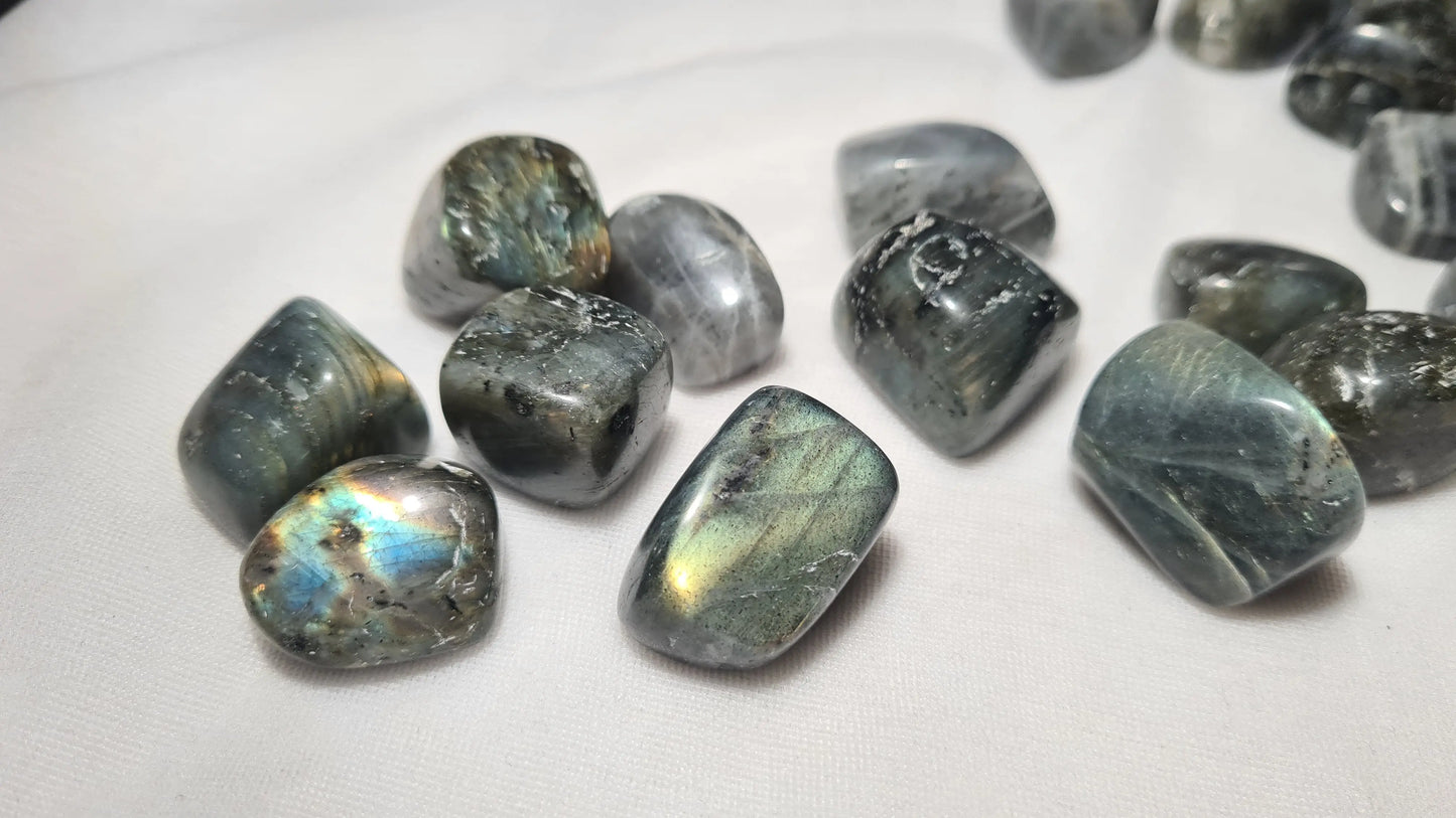 Pierres roulées de Labradorite (lots de 5) Cristal Roche