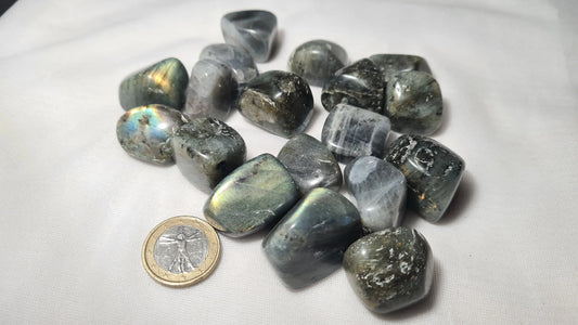 Pierres roulées de Labradorite (lots de 5) Cristal Roche