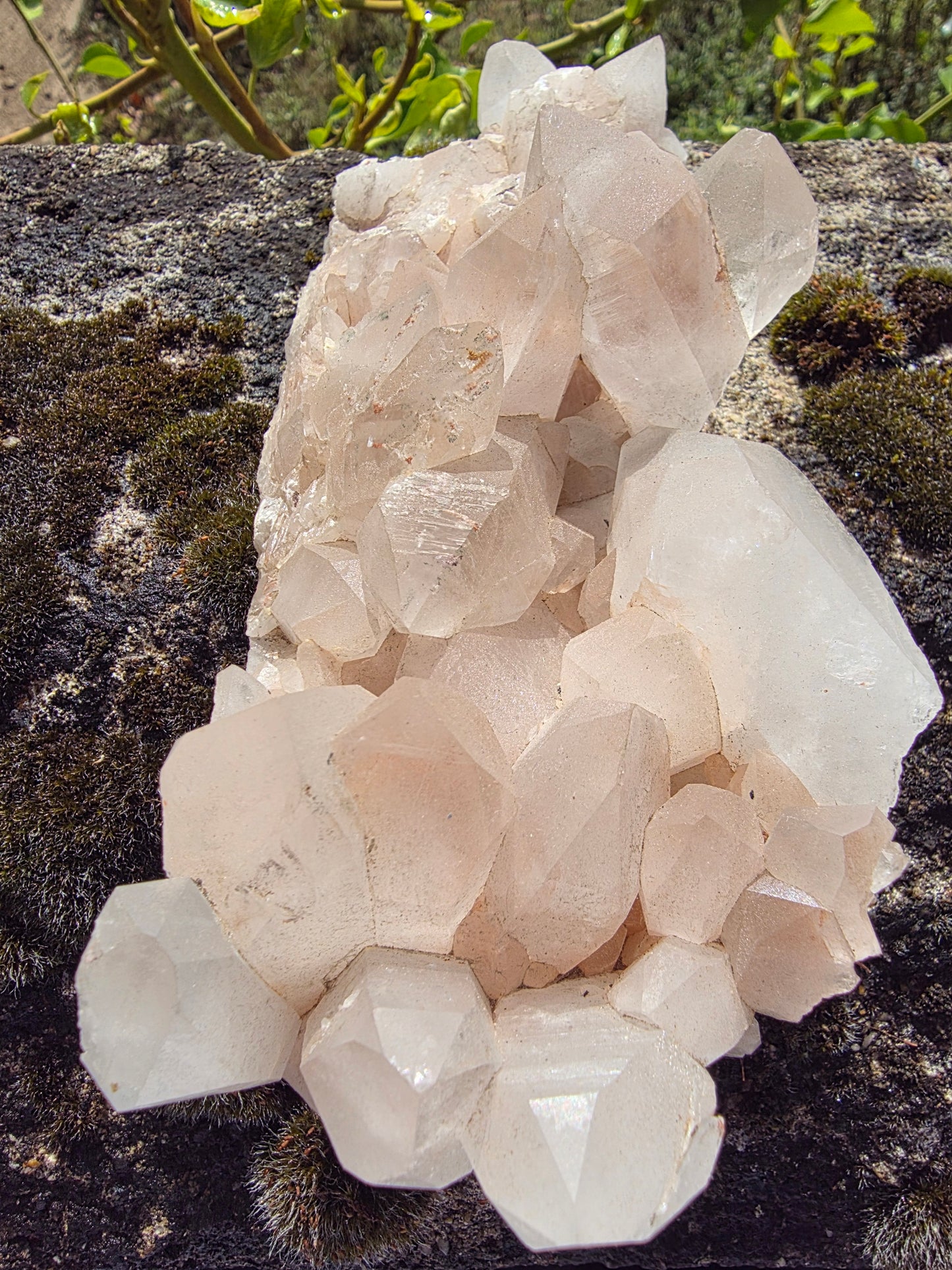 Cristaux de quartz rose de l'Himalaya (702g) Cristal Roche